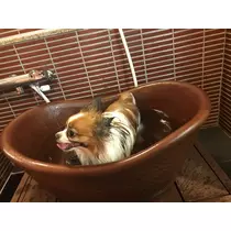 あいら