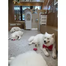 かびるんるんさわ