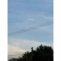 美咲 のばら
