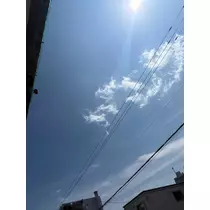 咲良 水月
