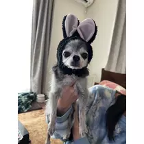 まや