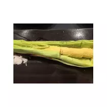 蓮見 リア
