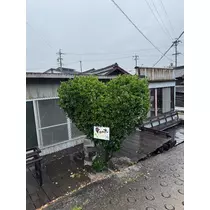あや