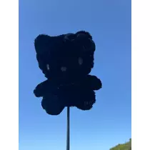 ジュナ