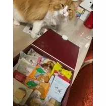 桐島 りゅう