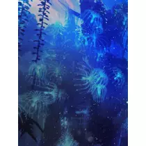 のはら かすみ