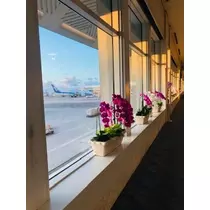 ゆかり