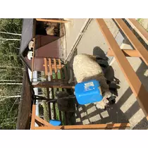 宝條 夏恋