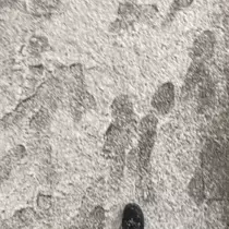 ひじり