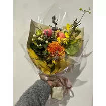 のぞみ
