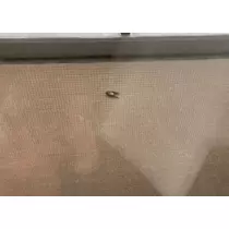 愛羽 仁美