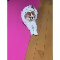 れみ