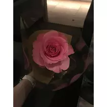 白石 愛莉