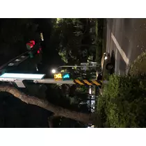 宝條 夏恋