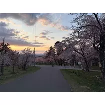 宝條 夏恋