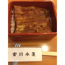 蓮見 リア