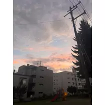 天乃 りさ