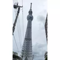 紫音
