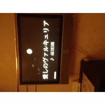 蓮見 リア