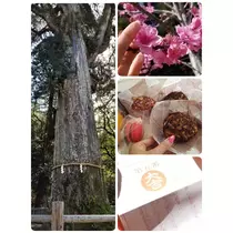 美穂