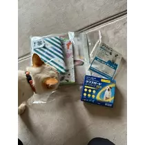 足立 はな
