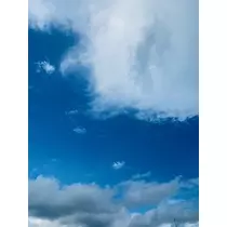ゆかり