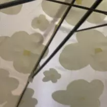 ちゃお
