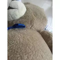 蓮見 リア