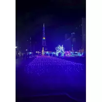 華宮 りりあ