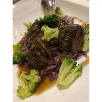 白石 愛莉