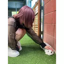 つばさ