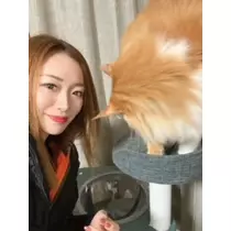 桐島 りゅう
