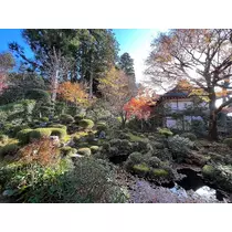 姫花