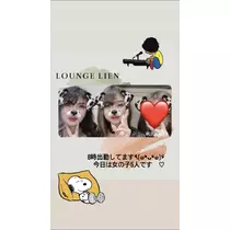 りょう