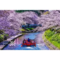 神崎　唯