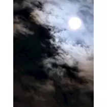 紫音