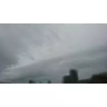 らん
