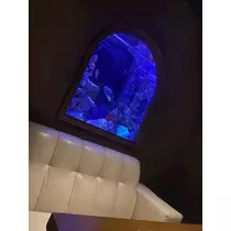 みゆ