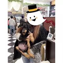 愛羽 仁美