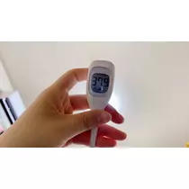さや