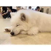 あーだこーだそら