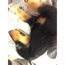ゆうな