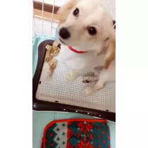 立花 咲
