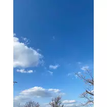 なぎさ