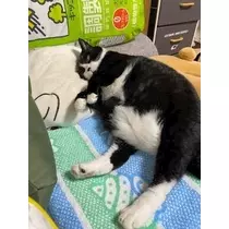 桐島 りゅう