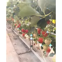 そら
