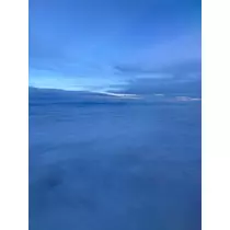 せいか