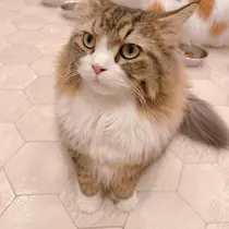 れみ