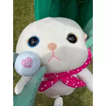 七星 舞冬