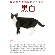 りん